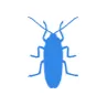 Уничтожение тараканов в Подушкино